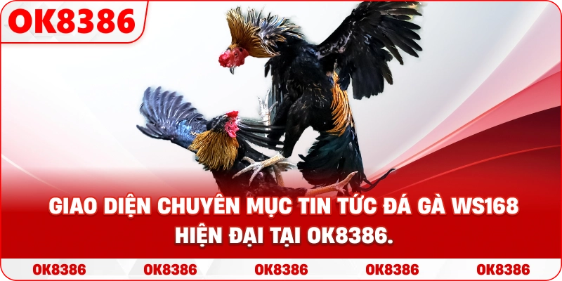 Giao diện chuyên mục tin tức đá gà WS168 hiện đại tại OK8386.
