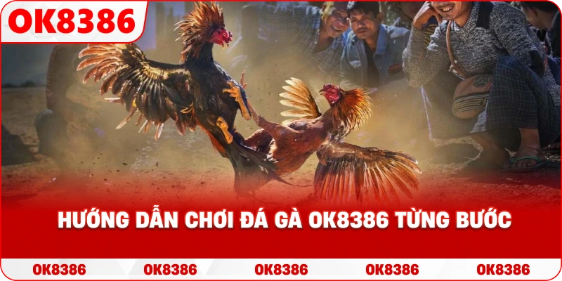 Hướng dẫn chơi đá gà OK8386 từng bước