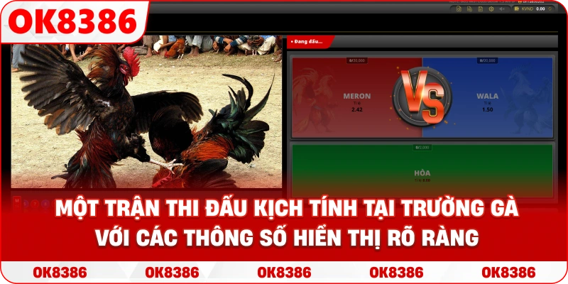 Một trận thi đấu kịch tính tại trường gà với các thông số hiển thị rõ ràng